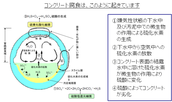 コンクリート防食及び腐食抑制技術 再構築 技術援助の業務内容 地方公共団体の皆様へ 地方共同法人 日本下水道事業団 Japan Sewage Works Agency